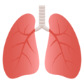 lungs on platform JoyPixels