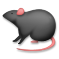 rat on platform LG