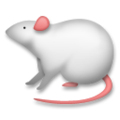 mouse on platform LG