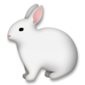 rabbit on platform LG