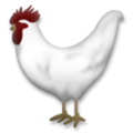 rooster on platform LG