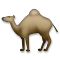 camel on platform LG