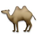 two-hump camel on platform LG