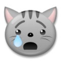 crying cat on platform LG