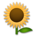 sunflower on platform LG