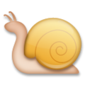 snail on platform LG