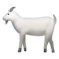 goat on platform LG