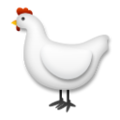 chicken on platform LG