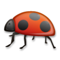 ladybug on platform LG