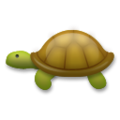 turtle on platform LG