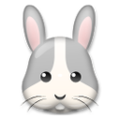 rabbit on platform LG