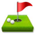 golf on platform LG