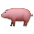 pig on platform LG