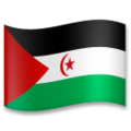 flag: Western Sahara on platform LG