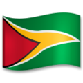 flag: Guyana on platform LG