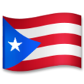 flag: Puerto Rico on platform LG