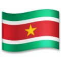 flag: Suriname on platform LG