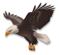eagle on platform LG