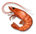 shrimp on platform LG