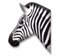 zebra on platform LG