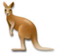 kangaroo on platform LG