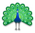peacock on platform LG