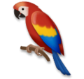 parrot on platform LG