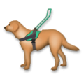 guide dog on platform LG
