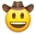 face with cowboy hat on platform LG
