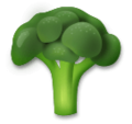 broccoli on platform LG