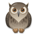 owl on platform LG