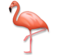 flamingo on platform LG