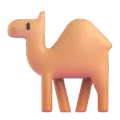 camel on platform Microsoft Teams
