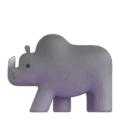 rhinoceros on platform Microsoft Teams