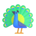peacock on platform Microsoft Teams