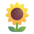 sunflower on platform Microsoft Teams