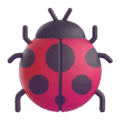 ladybug on platform Microsoft Teams
