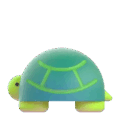 turtle on platform Microsoft Teams