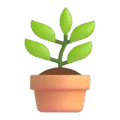 potted plant on platform Microsoft Teams