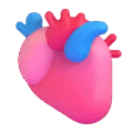 anatomical heart on platform Microsoft Teams
