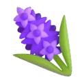 hyacinth on platform Microsoft Teams