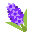 hyacinth on platform Microsoft