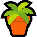 potted plant on platform Microsoft