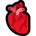 anatomical heart on platform Microsoft