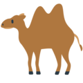 🐫