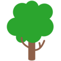 deciduous tree on platform Mozilla