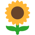 sunflower on platform Mozilla