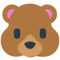 🐻