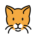 cat face on platform OpenMoji