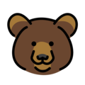 🐻